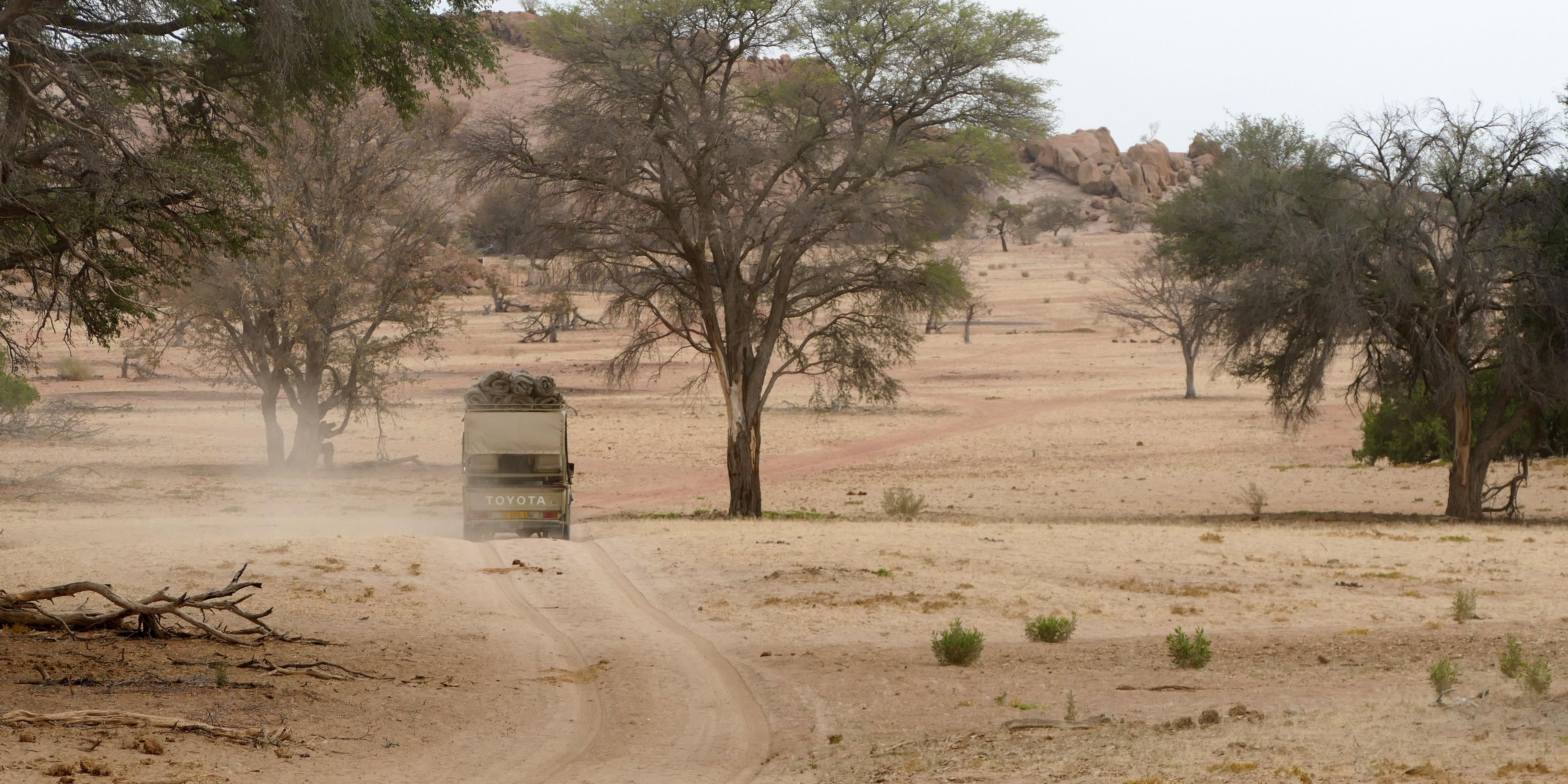 sabbatical-namibia-seychellen-wueste-wasser-damaraland-drive-natucate