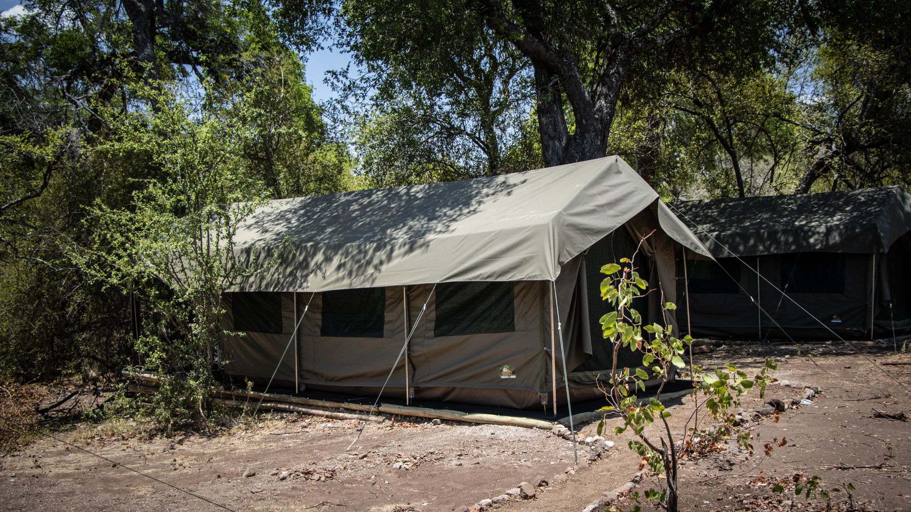 natucate-blog-camp-mashatu-2024-tents