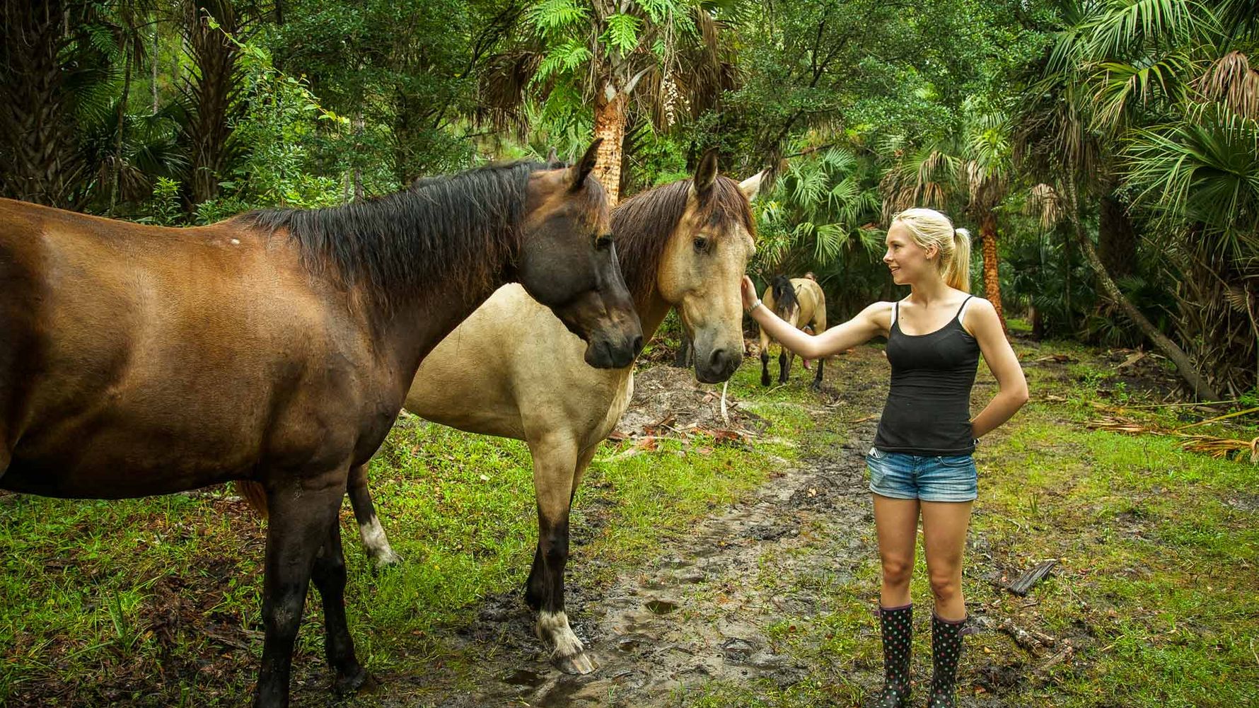 Horse volunteer opportunities near Orlando: Volunteer petting a horse
