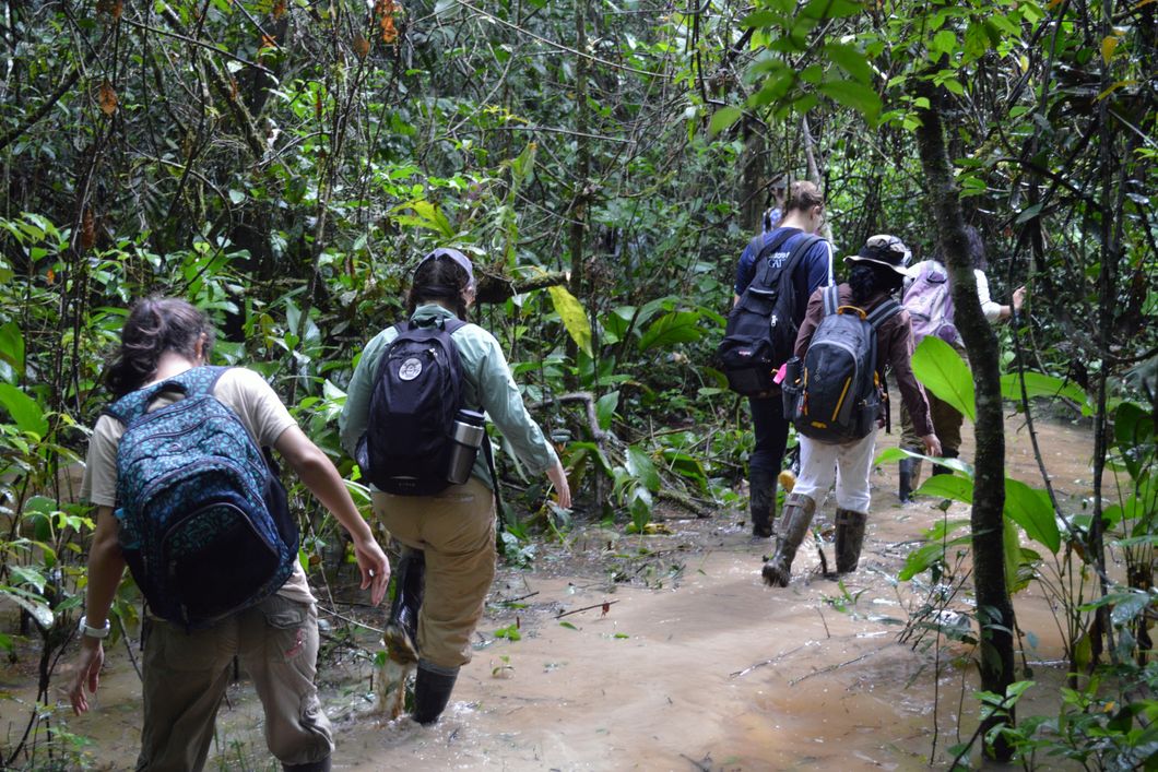 auslandspraktikum-peru-primatenforschung-amazonas-regenwald-team-natucate