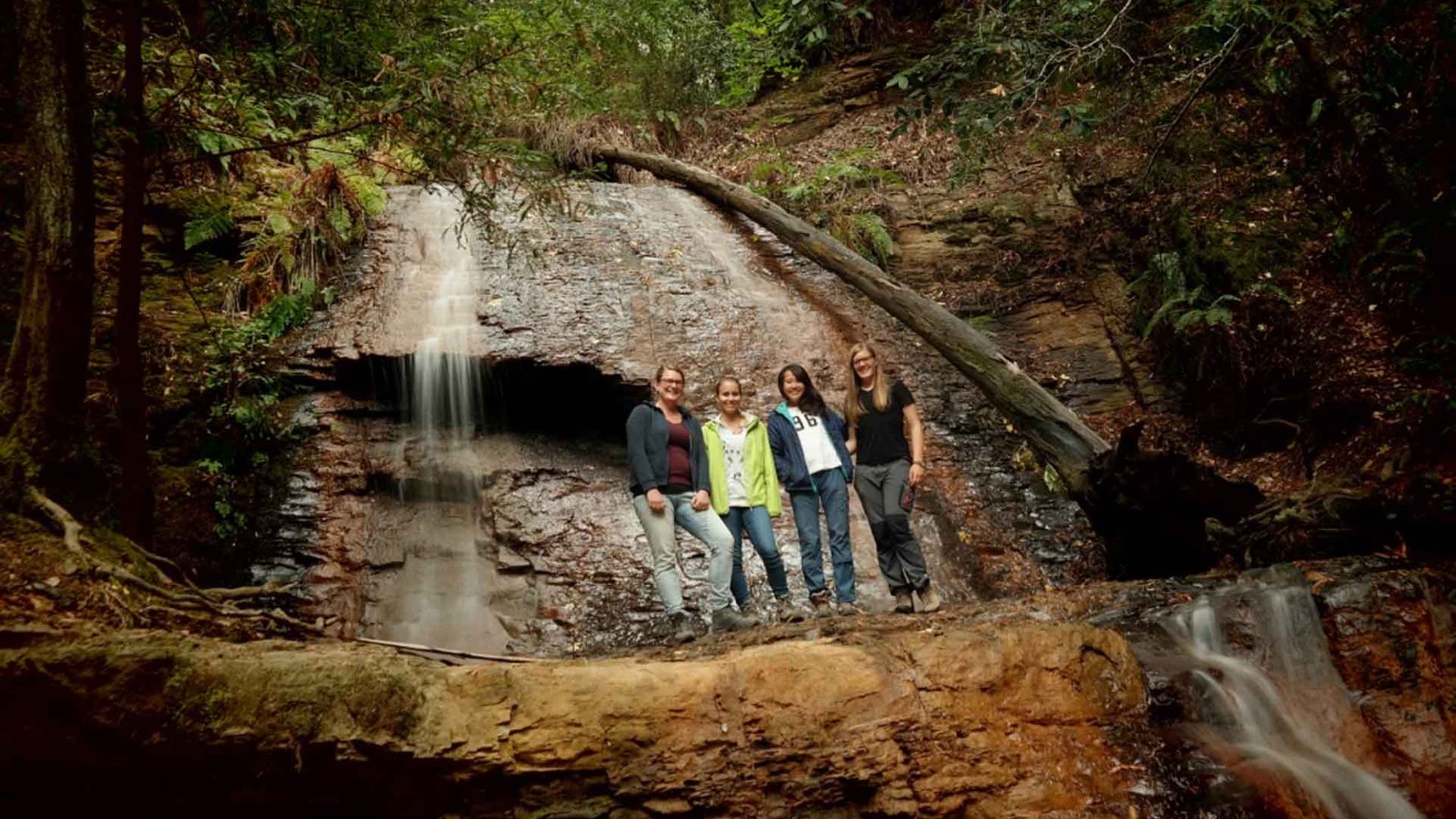 freiwilligenarbeit-usa-kalifornien-erfahrungsbericht-naturschutz-team-natucate