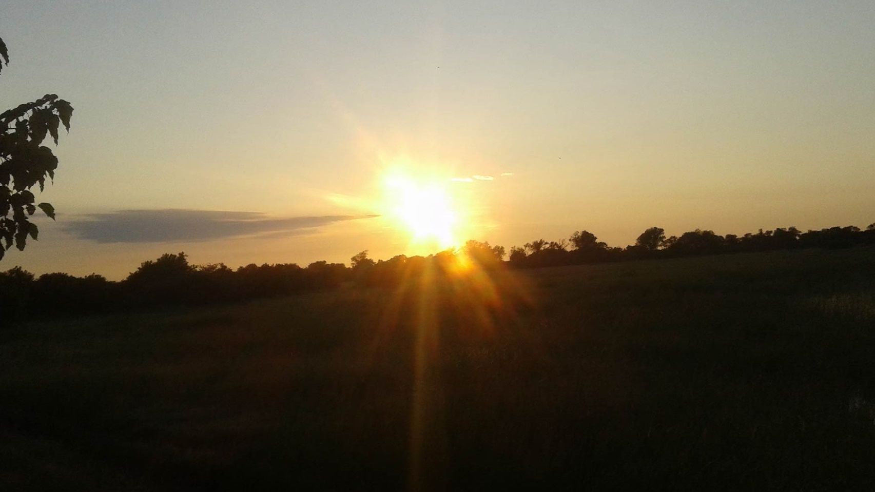 erfahrungsbericht-praktikum-botswana-artenschutz-sonne-natucate