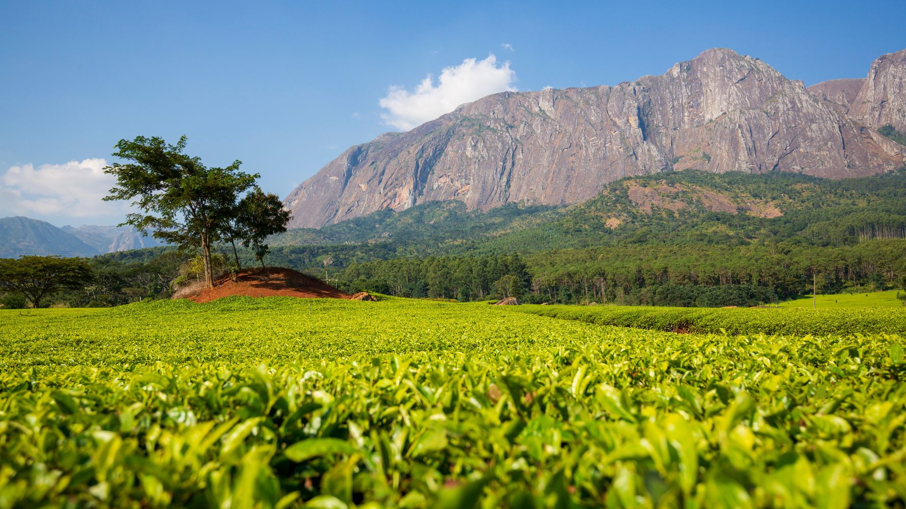 malawi-country-information-mulanje-massive