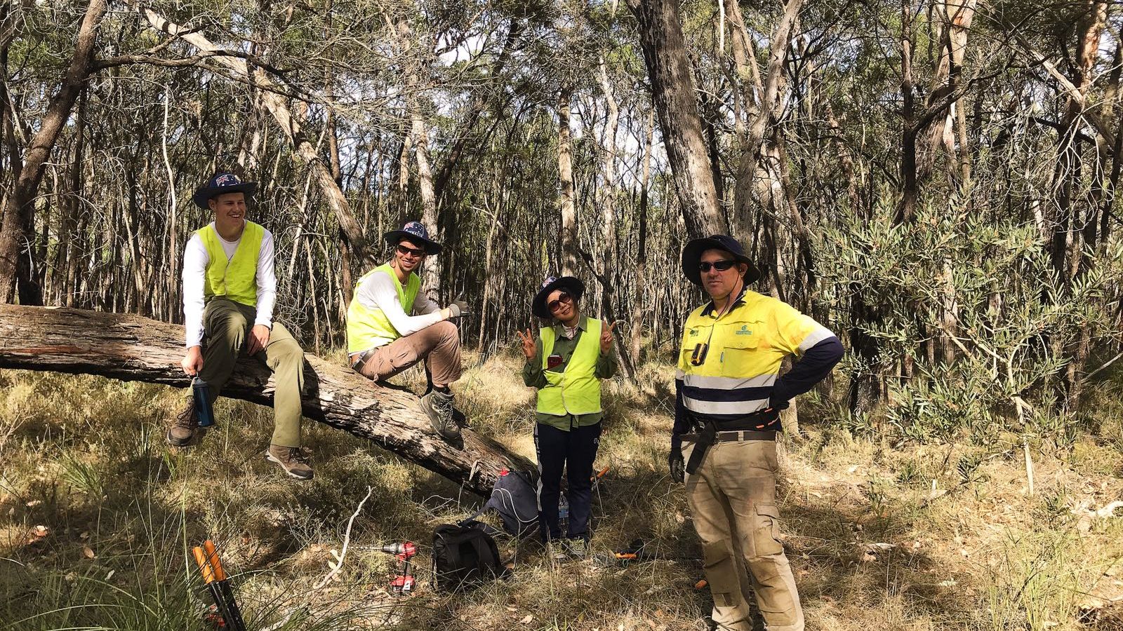 freiwilligenarbeit-australien-waldarbeit-blog-natucate