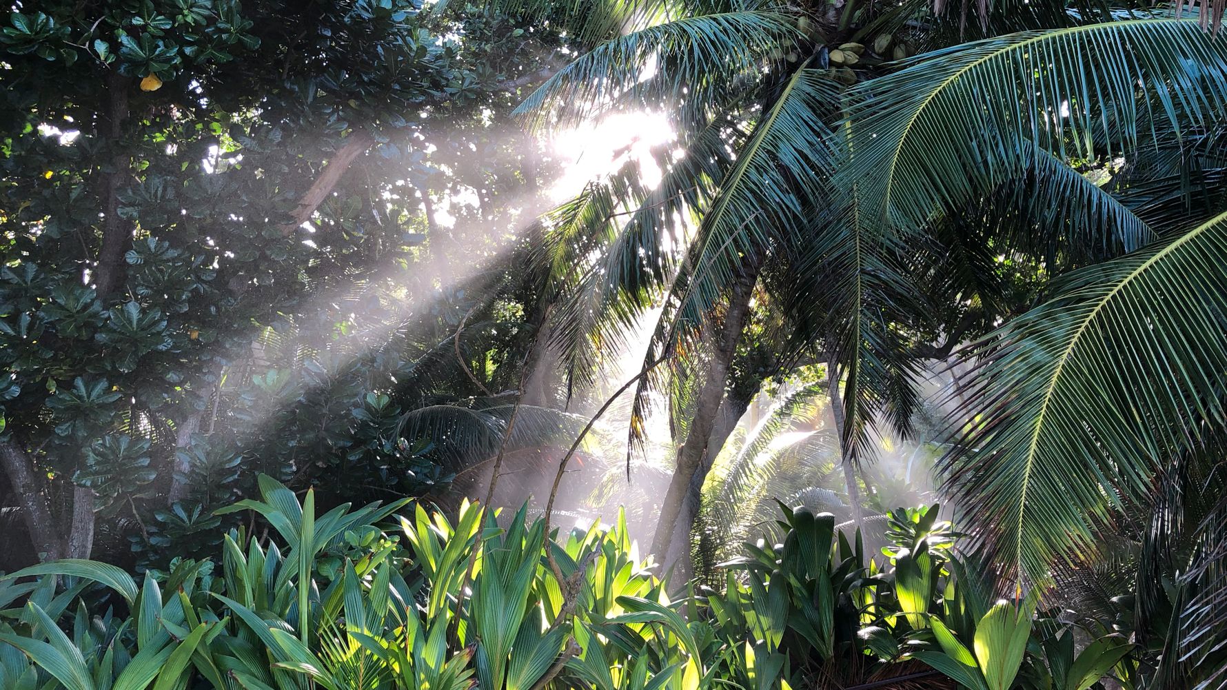 erfahrungsberichte-freiwilligenarbeit-seychellen-north-island-marco-wald
