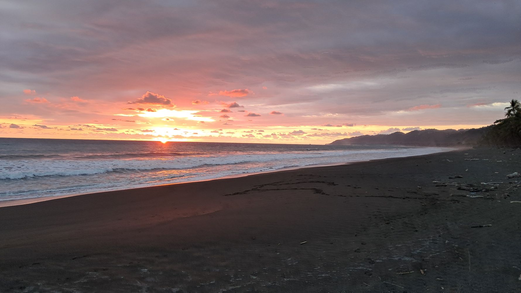 natucate-review-costa-rica-turtle-amelie-sunset