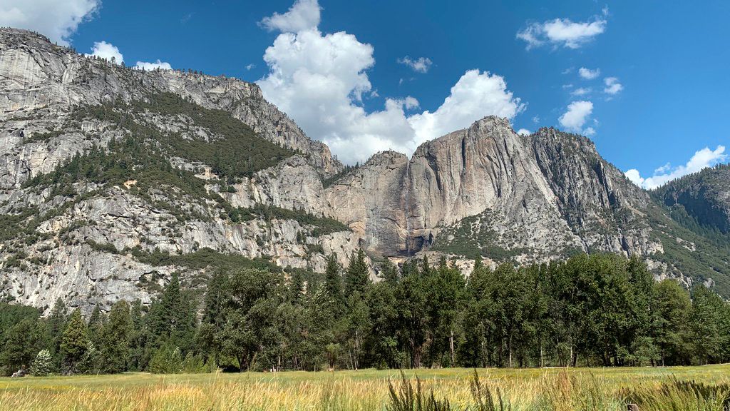 erfahrungsbericht-freiwilligenarbeit-naturschutz-usa-kalifornien-philip-felsen-natucate