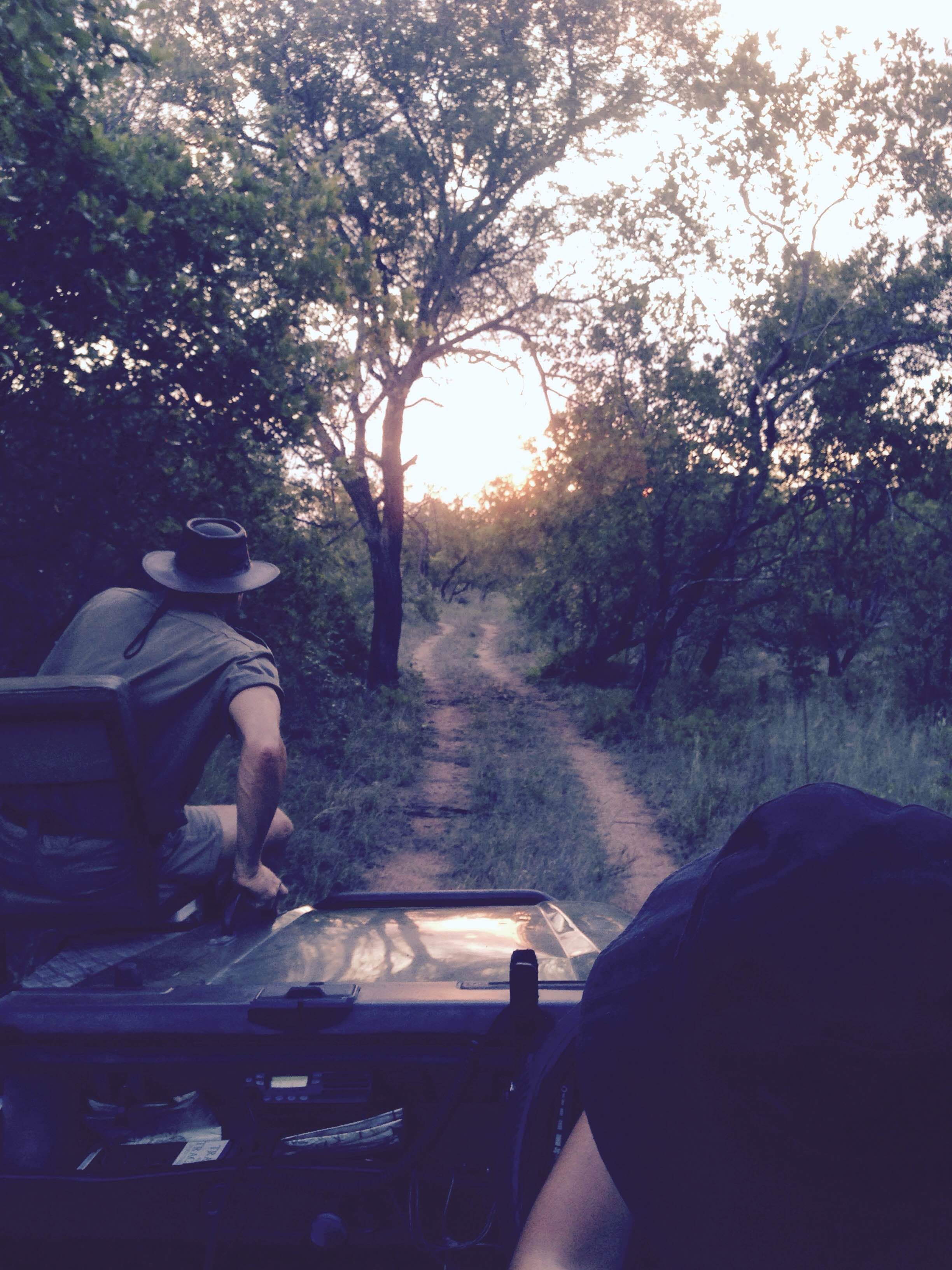 Review Field Guide Level 1 South Africa Niona ⋅ Natucate