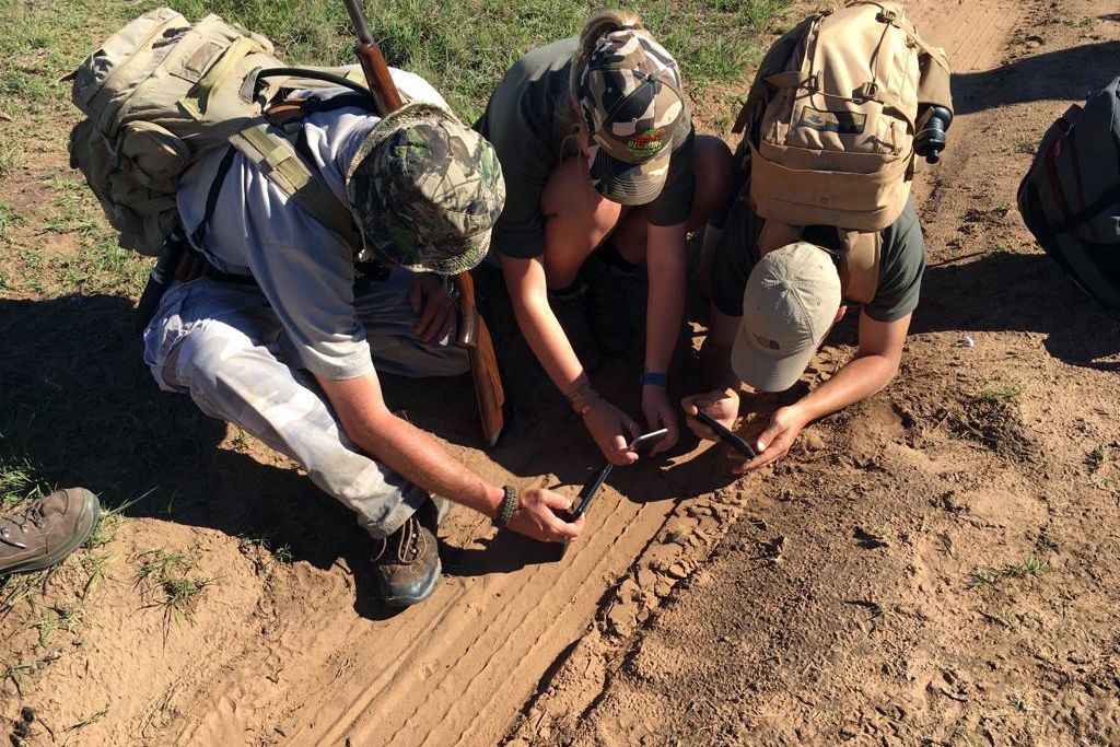 Zwei Trails Guide-Studenten und ihr Kursleiter hocken im suedafrikanischen Amakhala Game Reserve und fotografieren eine soeben entdeckte Tierspur
