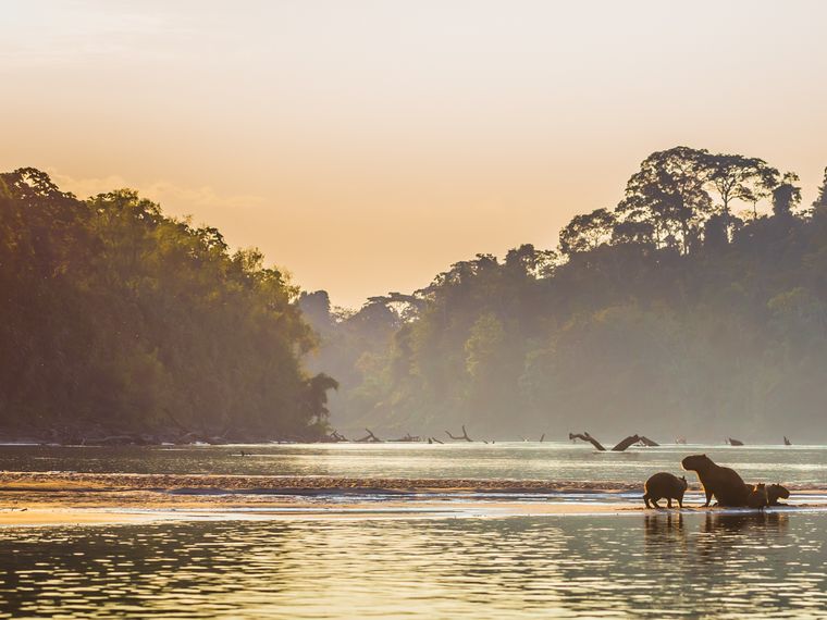 blog-ratgeber-peru-amazonas-regenwald-fluss-boot-natucate