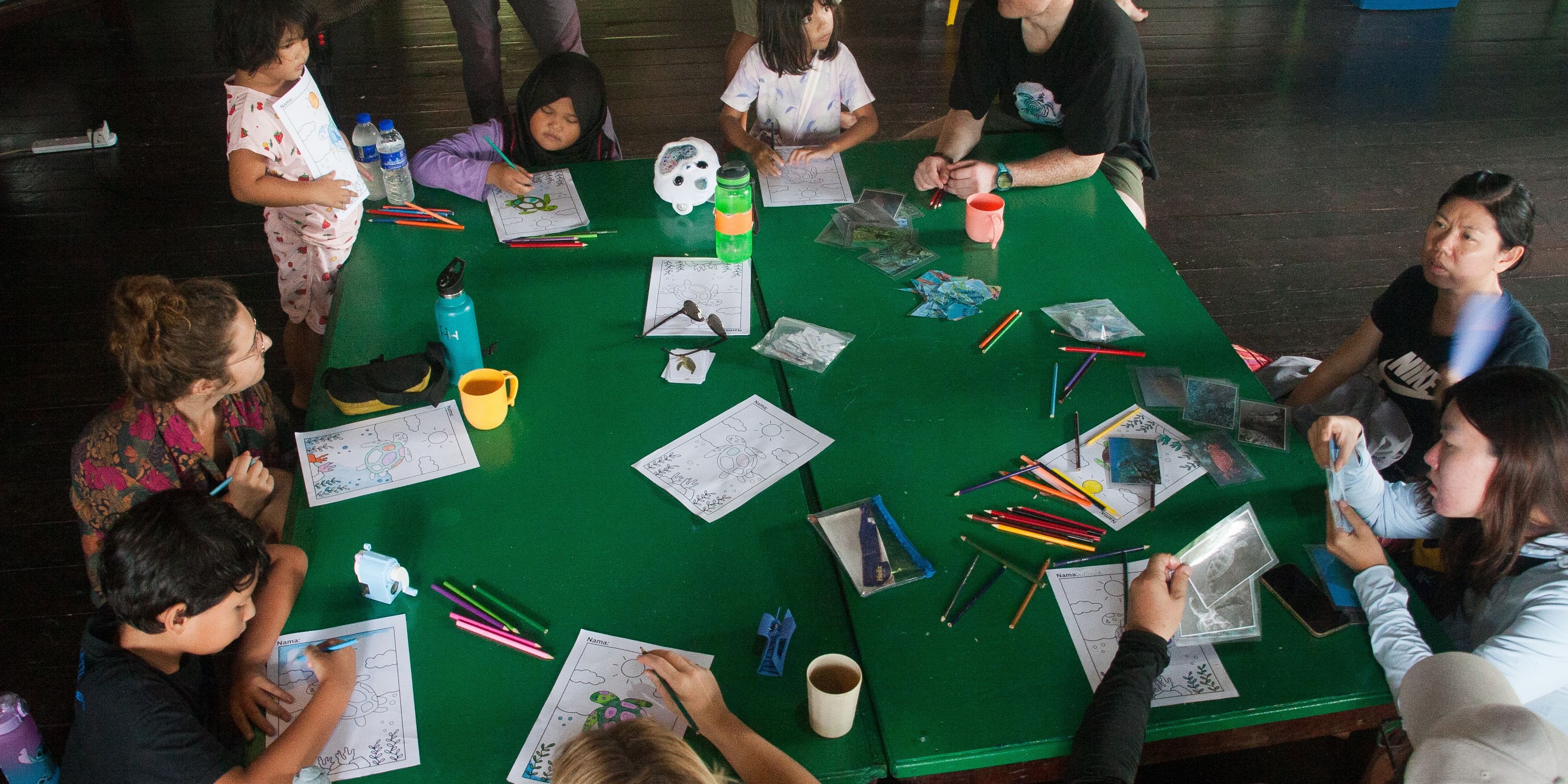 Children draw pictures with turtles
