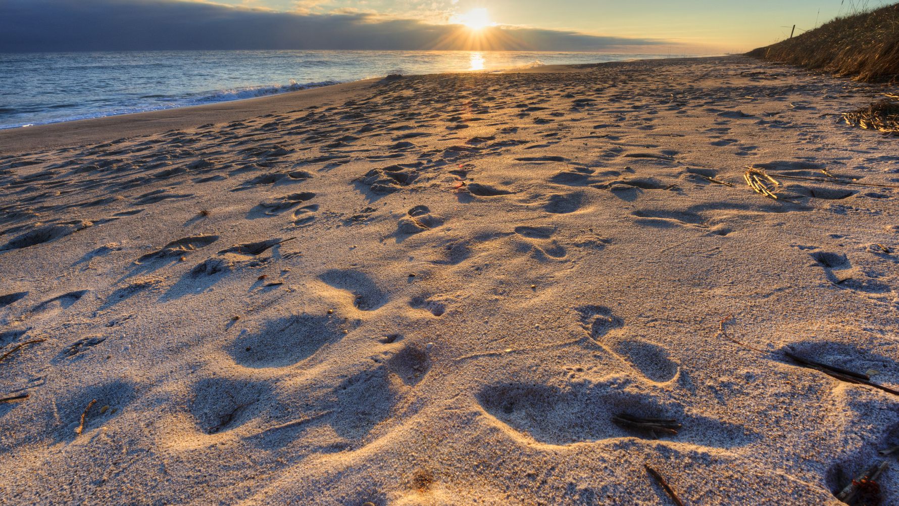 erfahrungsberichte-freiwilligenarbeit-florida-maria-strand-natucate