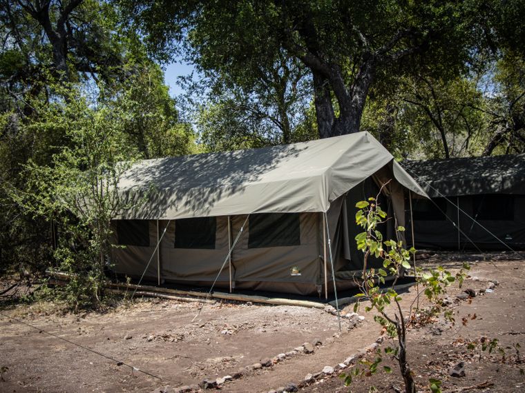 natucate-blog-camp-mashatu-2024-tents