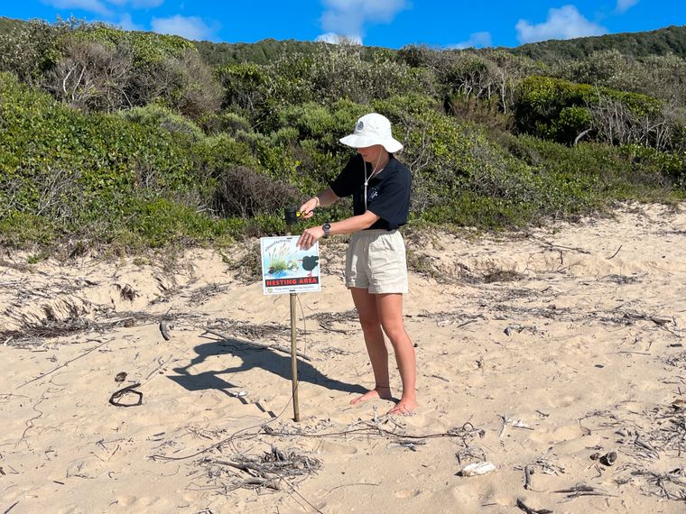 natucate-internship-south-africa-trust-forschung-strand-nesting-area