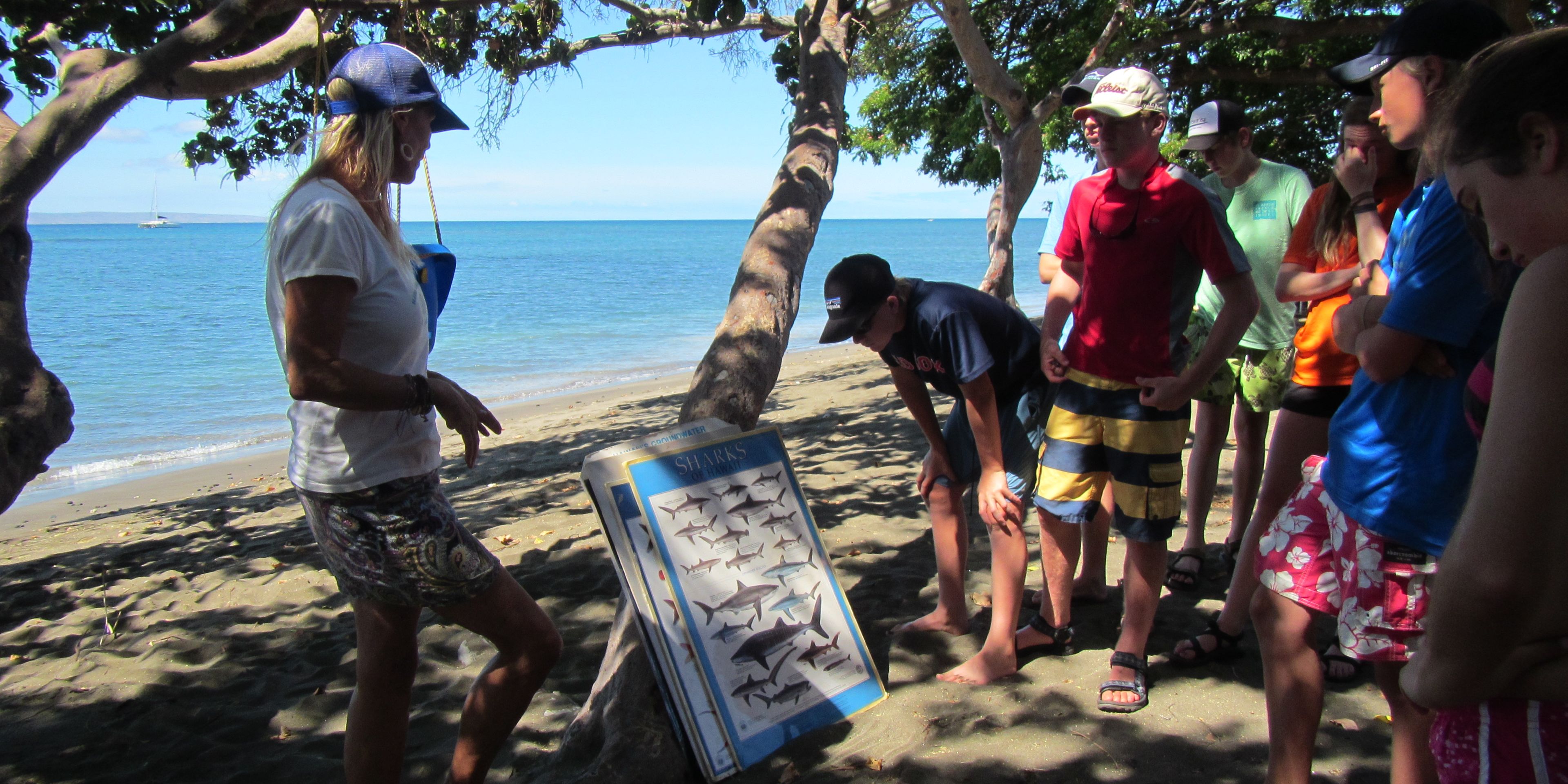 Volunteers on a Hawaiian beach learning about the marine life of the archipelago in the Pacific Ocean