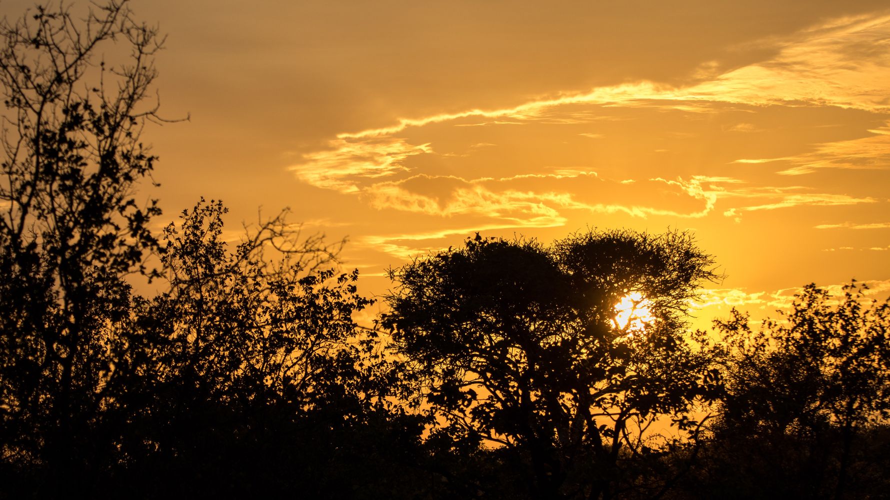 natucate-blog-camp-mashatu-2024-scenery