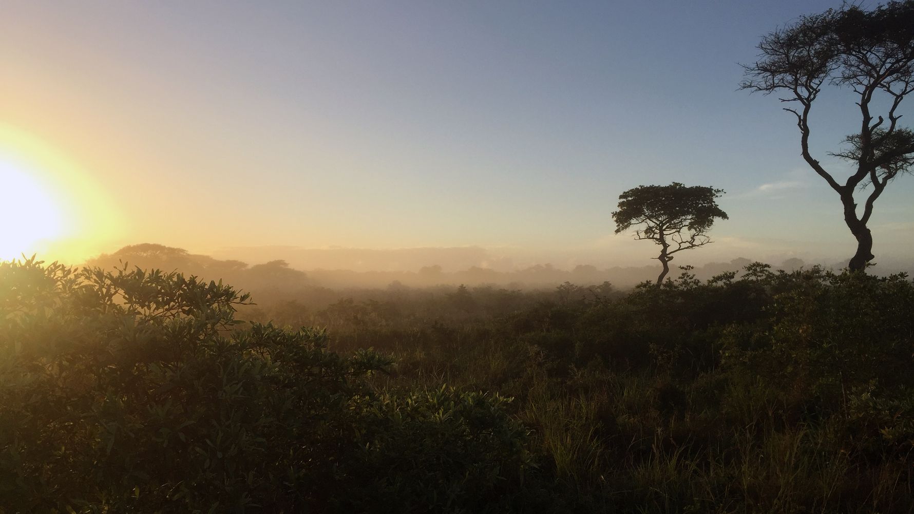 Savannenlandschaft bei Sonnenaufgang im Hluhluwe-iMfolozi-Park