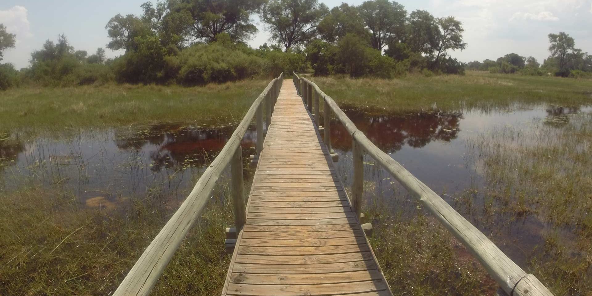 Eine Holzbruecke fuehrt auf eine der zahlreichen gruenen Inseln von Botswanas Okavango Delta.