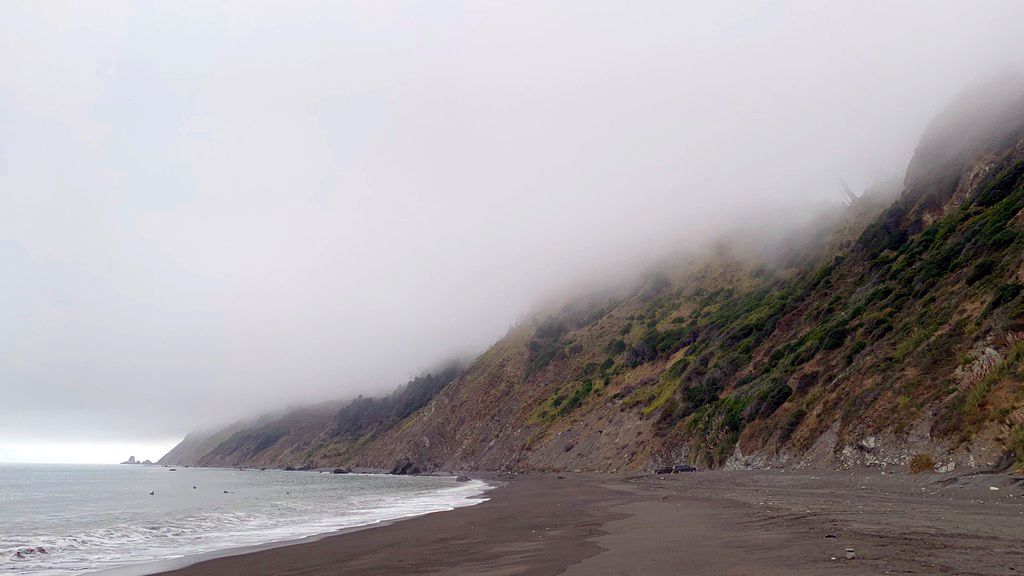 erfahrungsbericht-freiwilligenarbeit-naturschutz-usa-kalifornien-philip-kueste-natucate