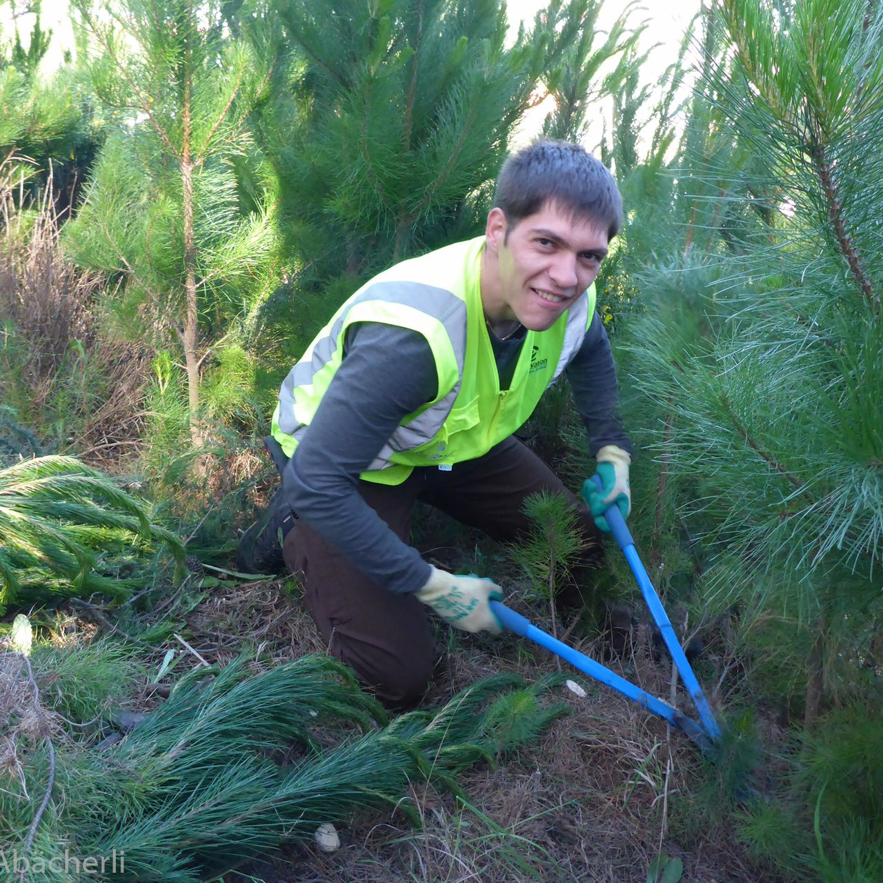 Ein freiwilliger Helfer bei der Arbeit	Zum Erhalt des Naturschutzes entfernt ein Freiwilliger mehrere kleine Baueme
