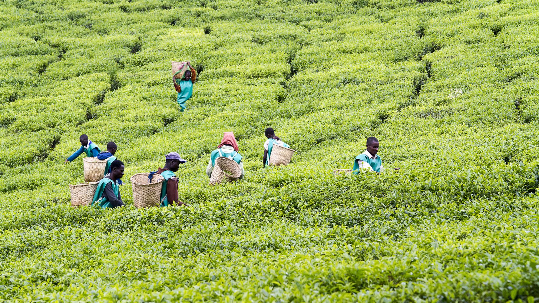 Field workers Uganda