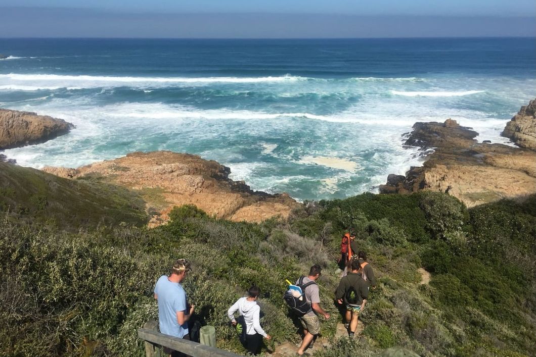 Eine Gruppe Marine Guide-Studenten wandert an der Kueste von Suedafrikas Ostkap