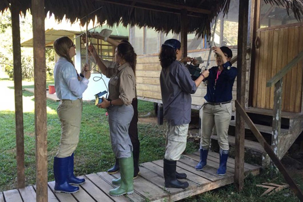 Durch Telemetrie werden Primaten die mit Sendern ausgestattet sind ausfindig gemacht