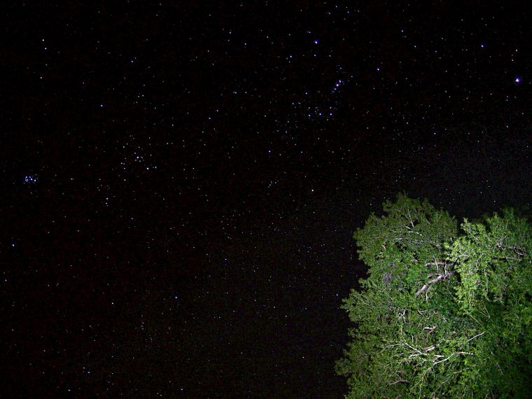 Rangerausbildung: Der afrikanische Sternenhimmel