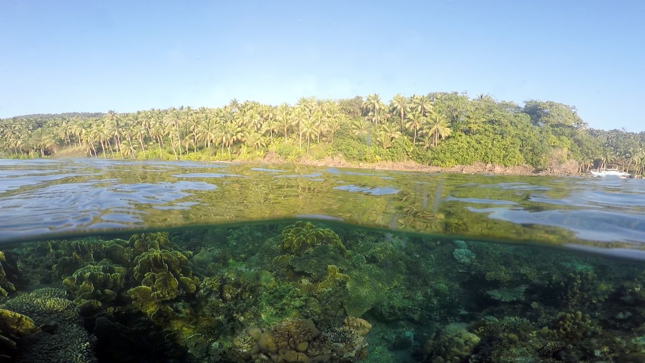 Aufnahme eines Korallenriffs sowie einer mit Palmen bewachsenen Insel der Philippinen