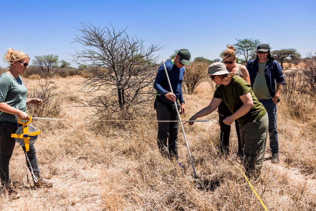 natucate-volunteering-southafrica-kalahari-activity-measures