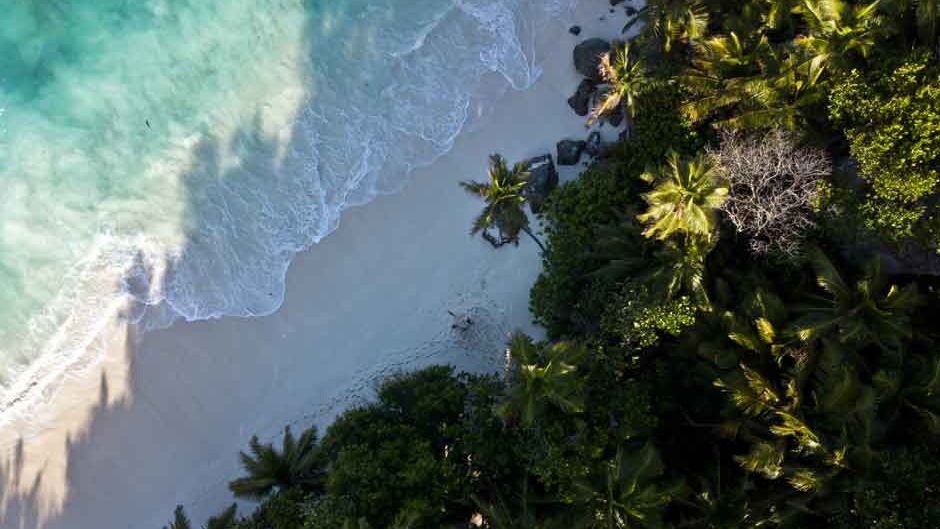 freiwilligenarbeit-seychellen-schildkroeten-artenschutz-natucate-1