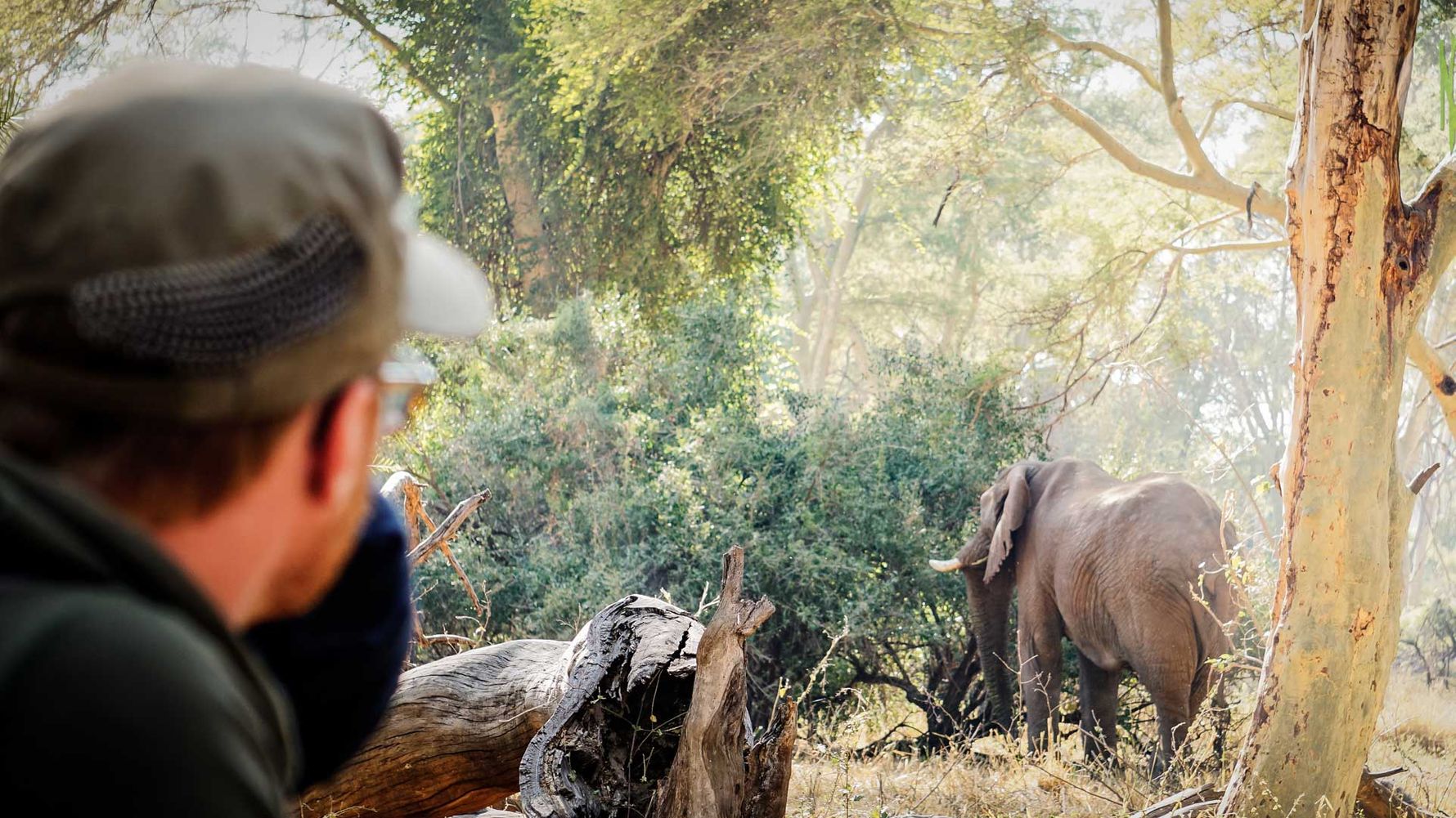 Trekking-Urlaub Afrika: Teilnehmer des Wilderness Trails-Kurses beobachtet einen Elefanten