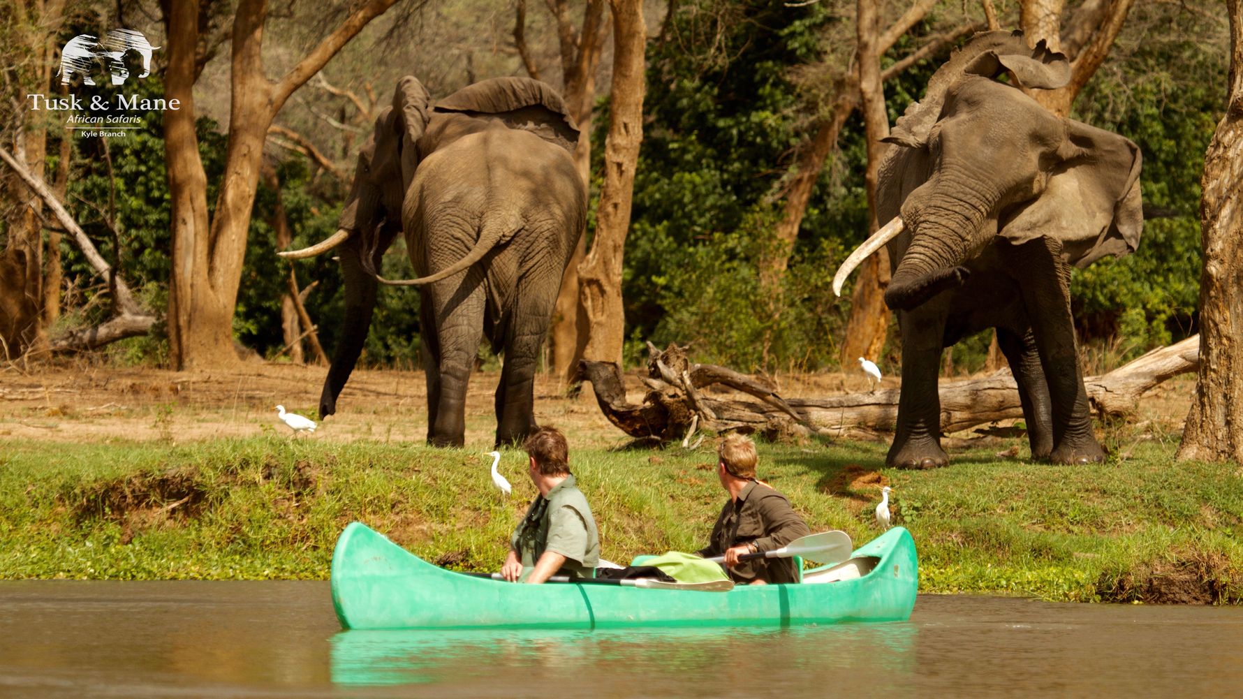 blog-ratgeber-sambia-tusk-and-mane-camp-kanutour-natucate