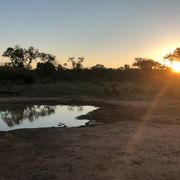 erfahrungsberichte-rangerkurse-suedafrika-field-guide-level-1-simon-wasserloch-natucate