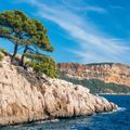 The Calanques de Marseille rocks with scattered plants on the coast of France