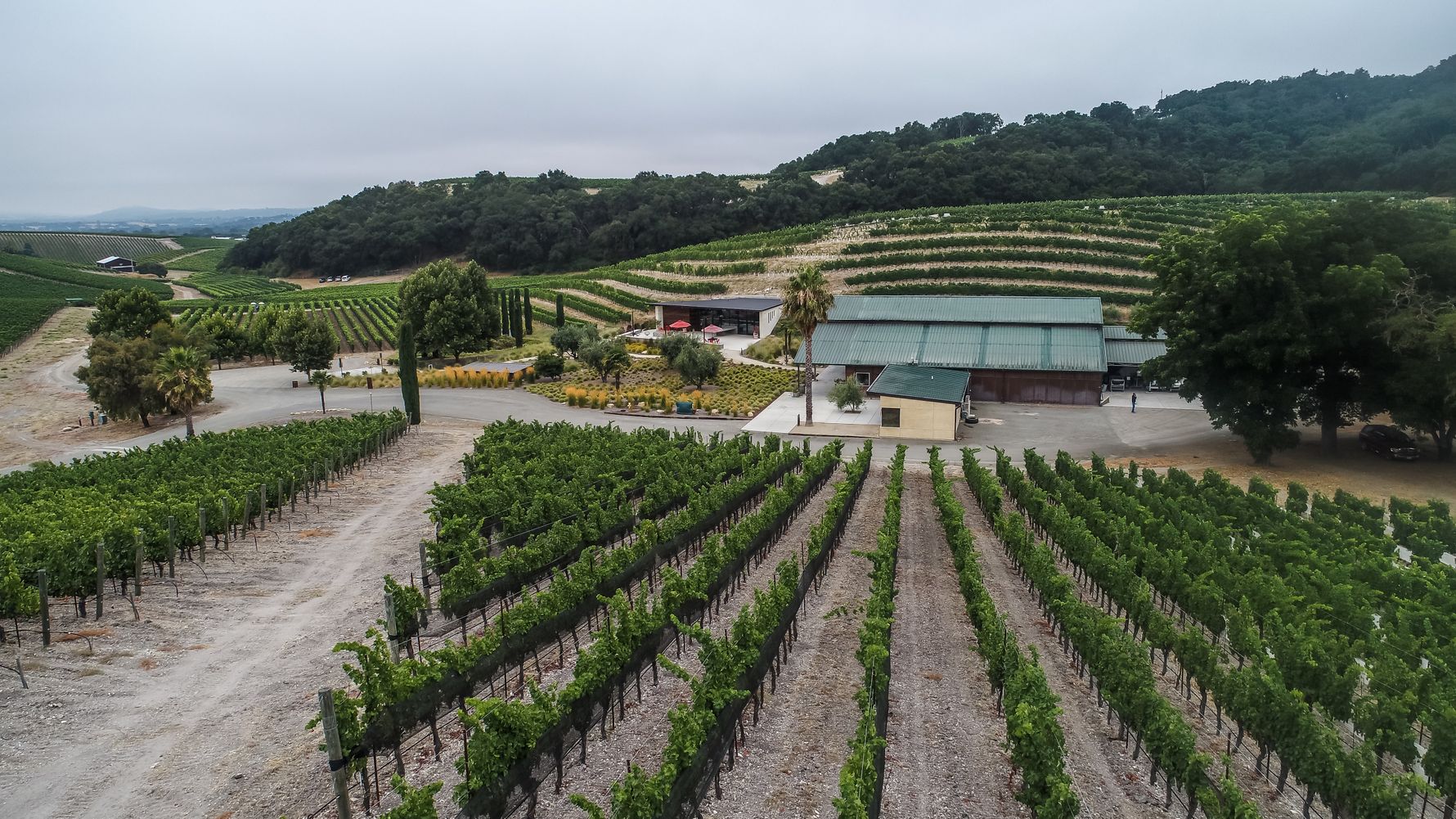 erfahrungsberichte-praktikum-usa-weinbau-michael-weinhuegel