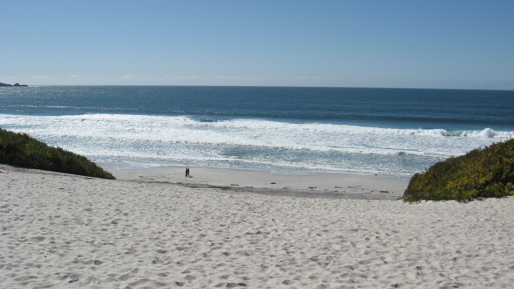 freiwilligenarbeit-usa-kalifornien-erfahrungsbericht-naturschutz-strand-natucate