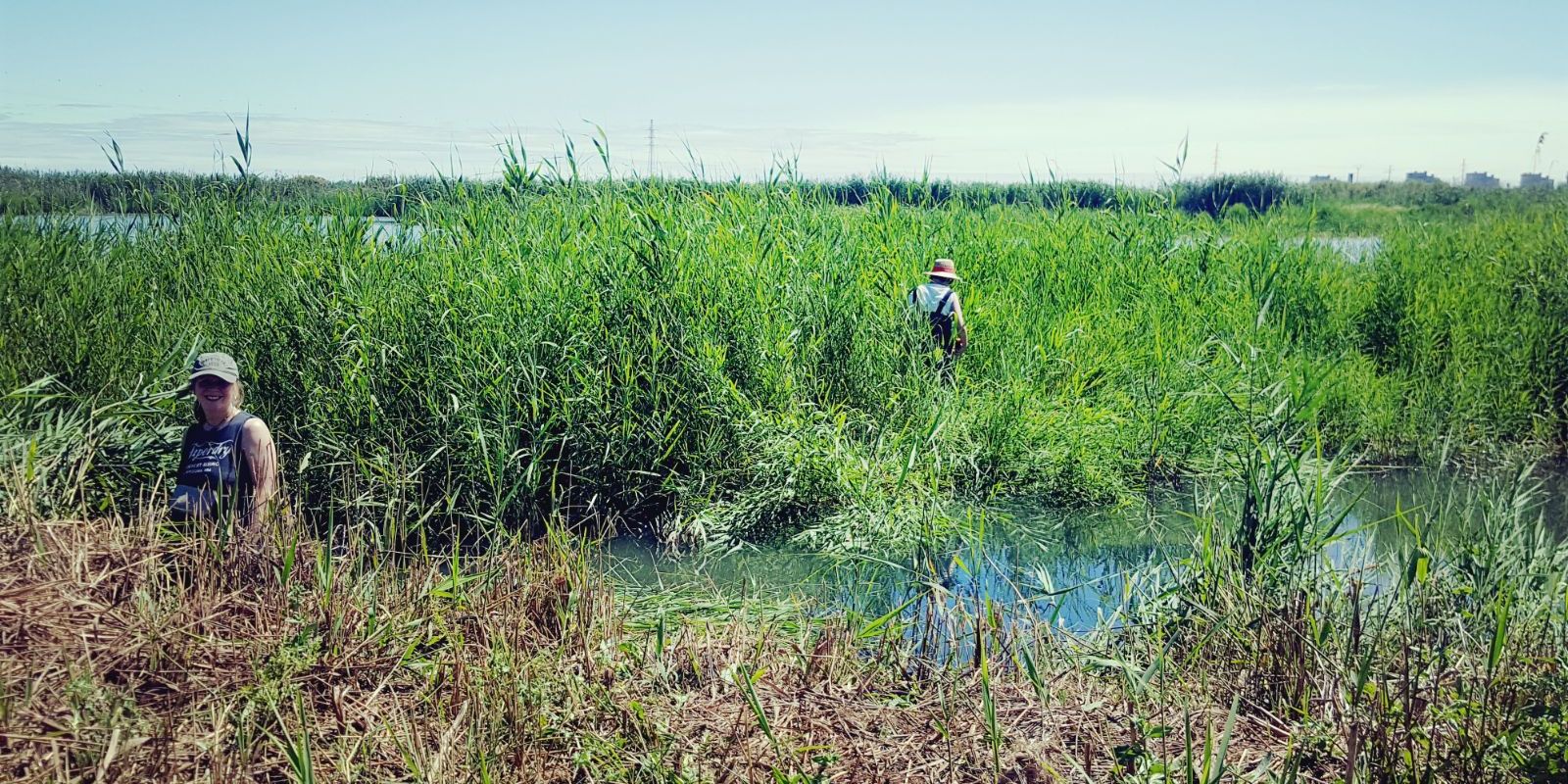 freiwilligenarbeit-spanien-valencia-europa-volunteers-naturschutz-natucate