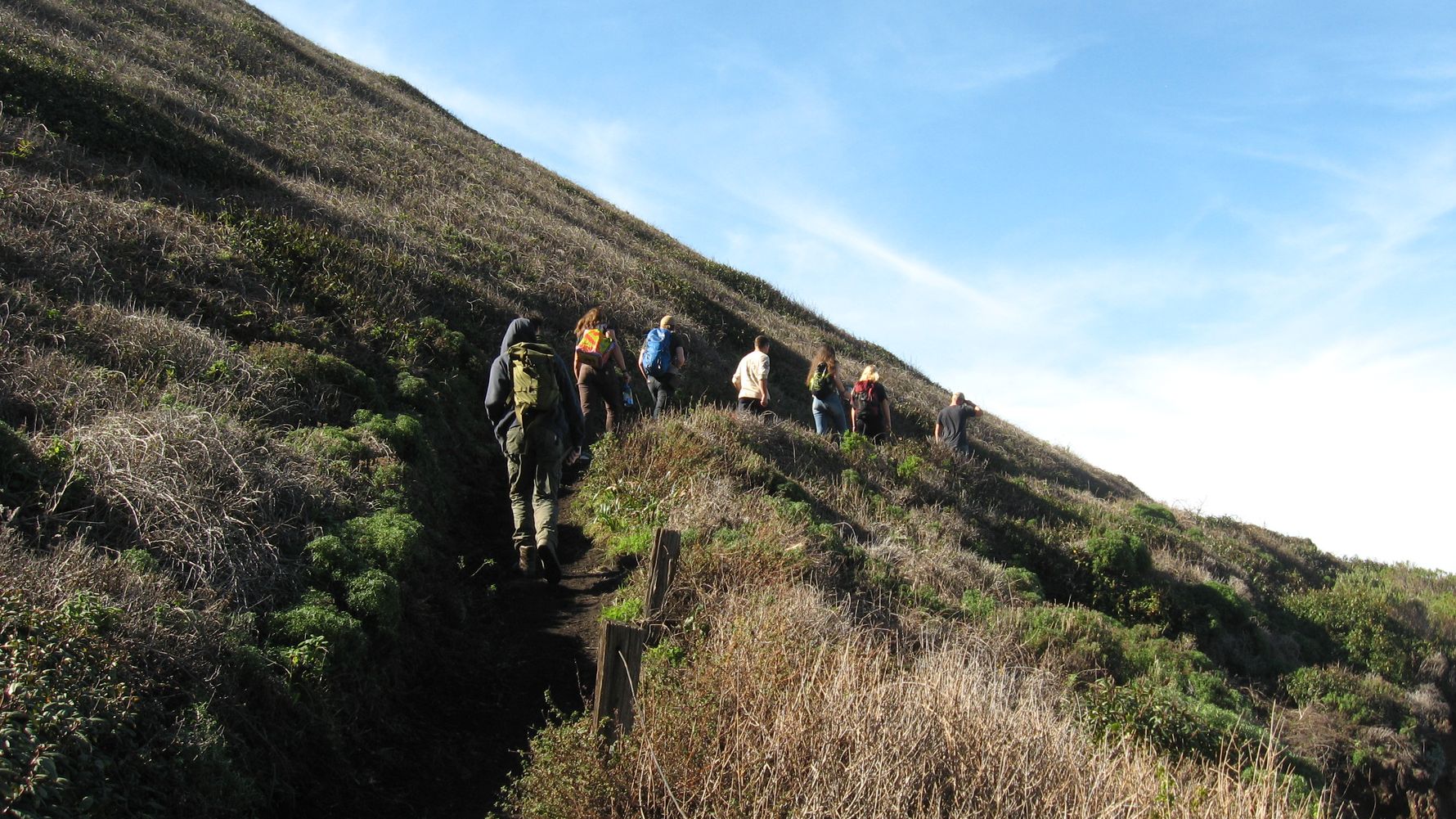 freiwilligenarbeit-usa-kalifornien-erfahrungsbericht-naturschutz-natucate