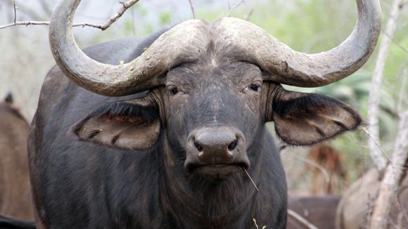 freiwilligenarbeit-suedafrika-projektbesuch-natucate