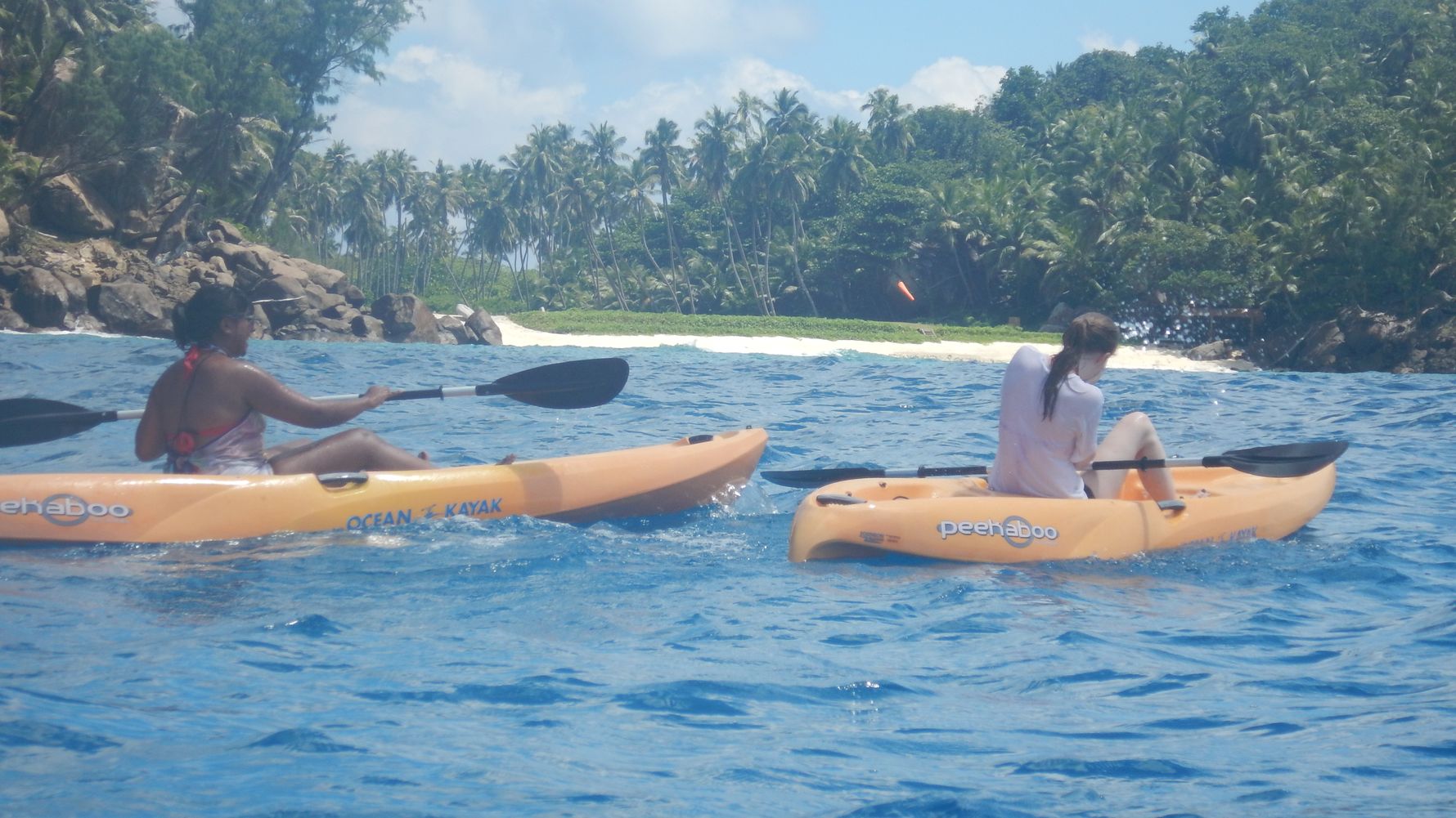 freiwilligenarbeit-seychellen-erfahrungsbericht-sport-artenschutz-natucate