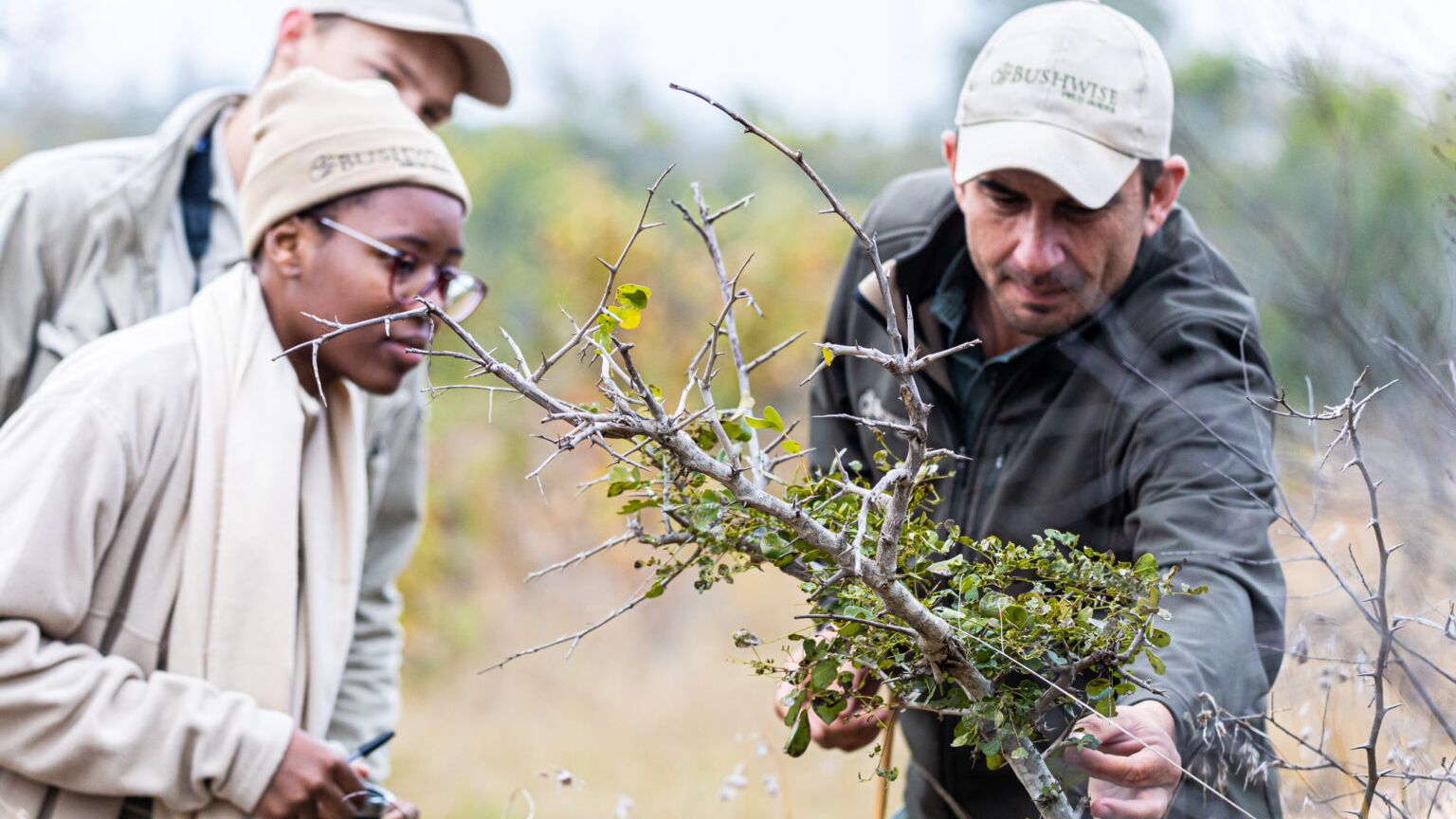 Menschen schauen Busch an