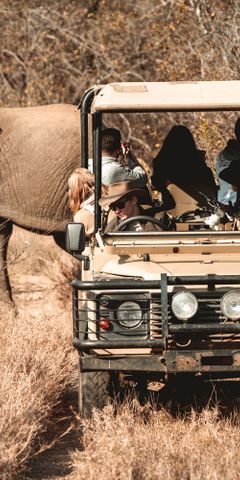 freiwilligenarbeit-suedafrika-siyafunda-wildlife-monitoring-game-drive-natucate