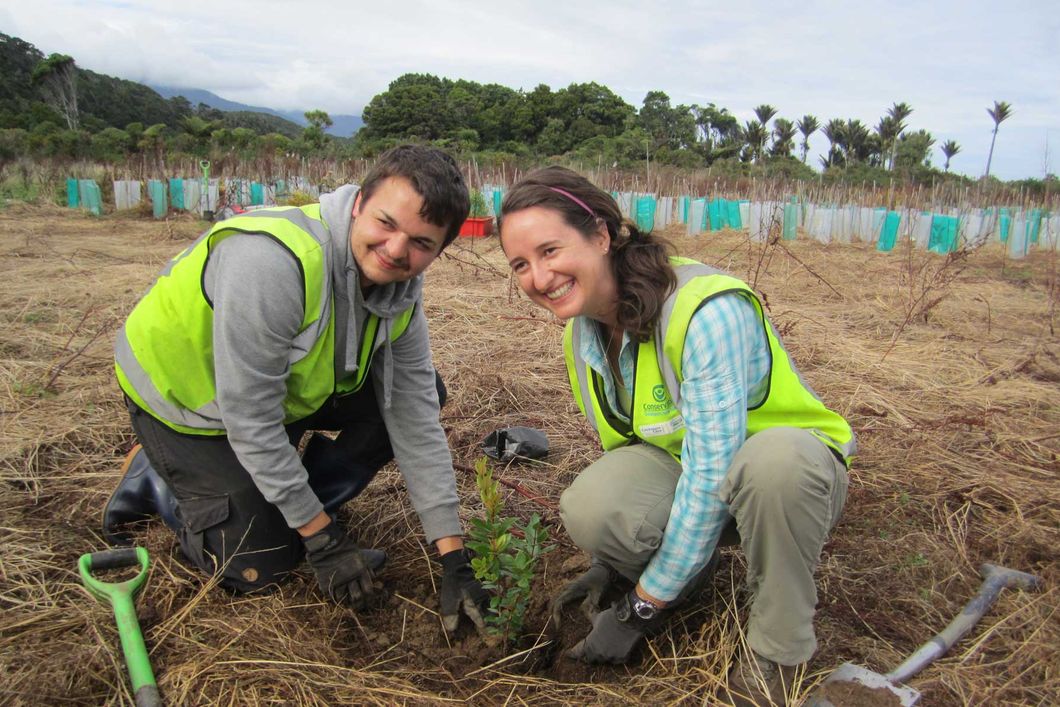Two volunteers in New Zealand planting seedlings to conserve the country's natural areas