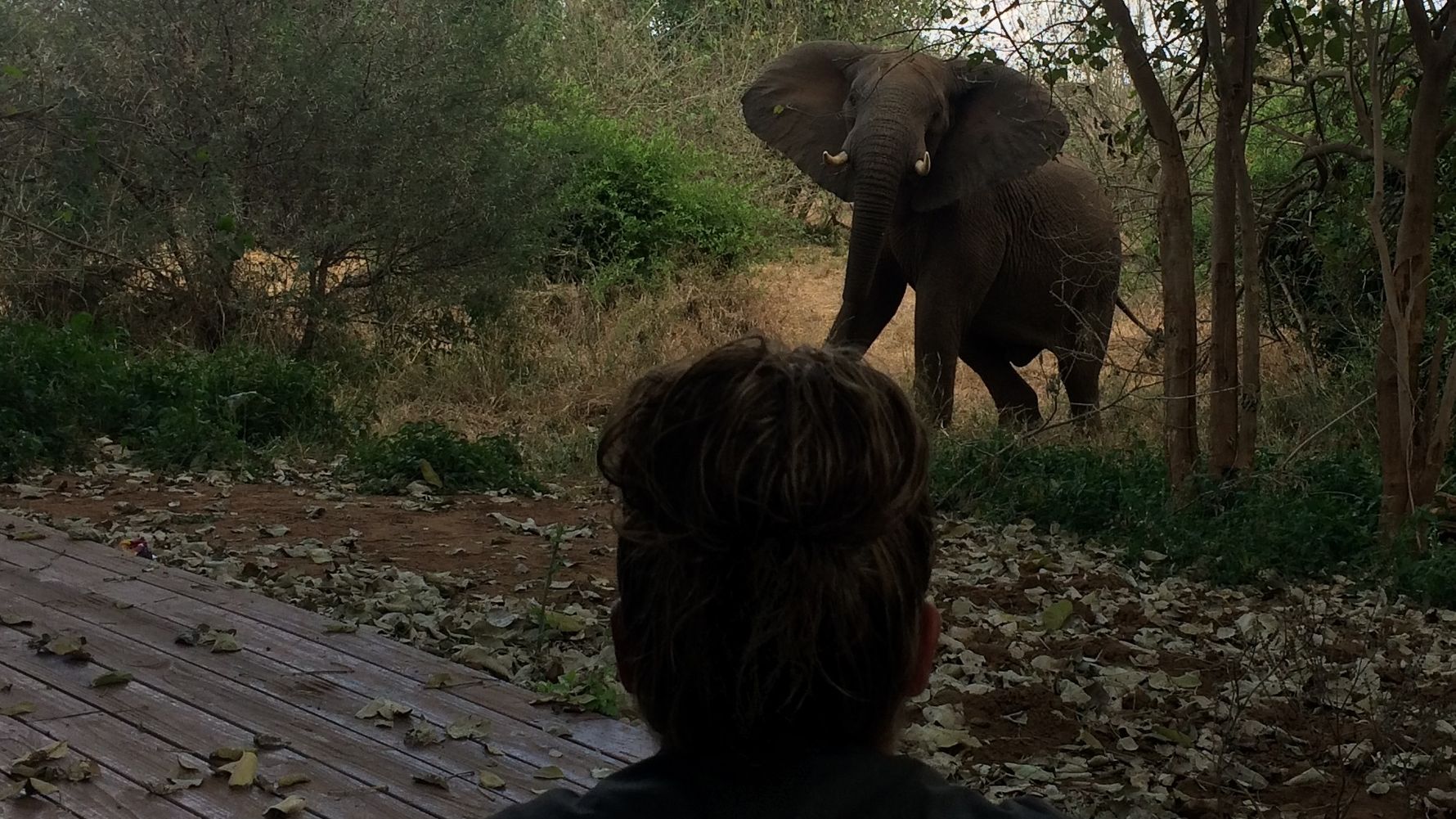 erfahrungsberichte-suedliches-afrika-pfg-rangerausbildung-kundenfotos-ausblick-natucate
