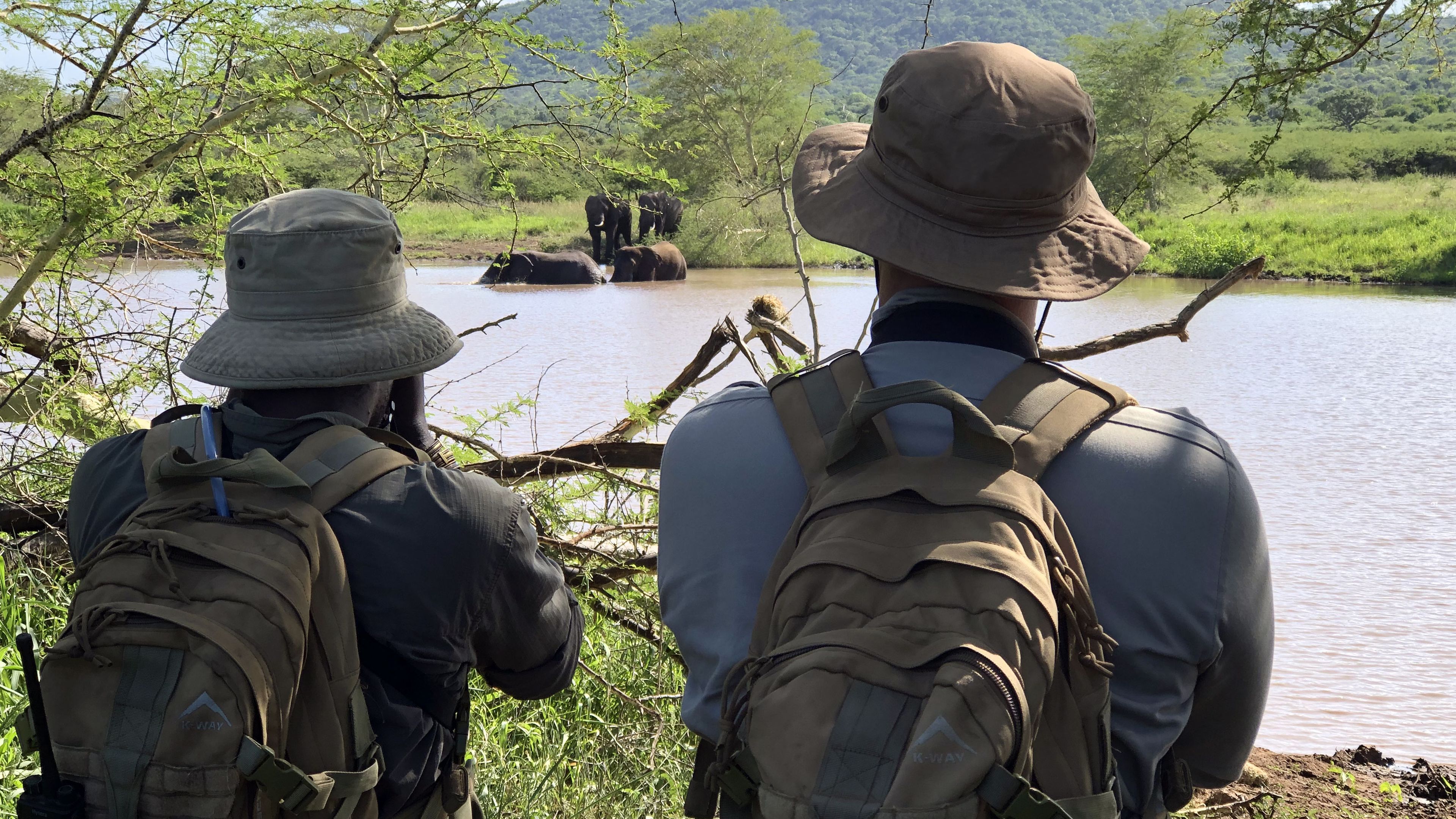 Trails Guide students on a game walk in Africa observing bathing elephants in Southern Africa