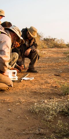 naturkurs-suedafrika-ecotracker-wildlife-monitoring-spurenlesen-natucate