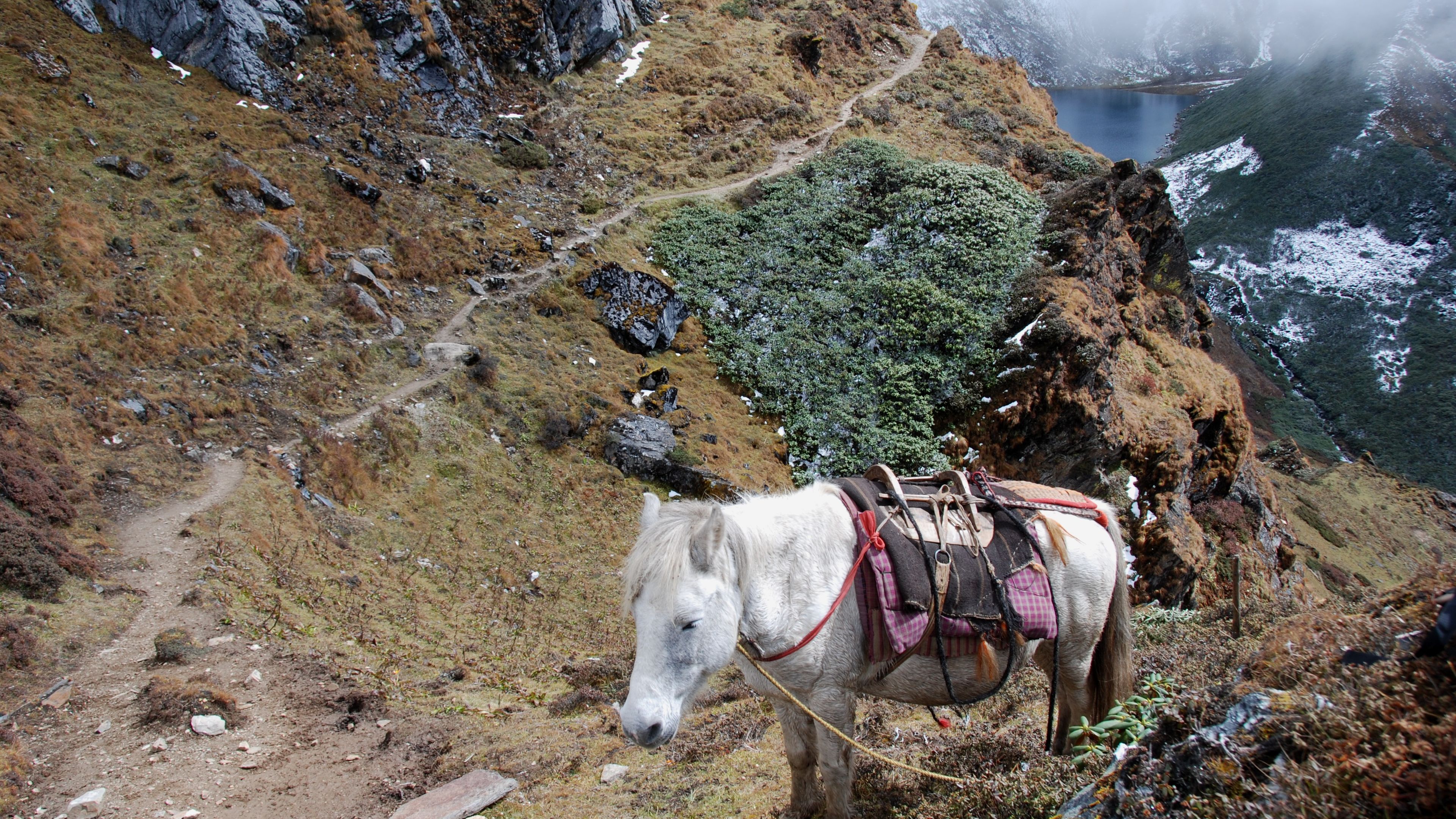 naturreise-snowman-trek-bhutan-pferd-bergtrek-natucate