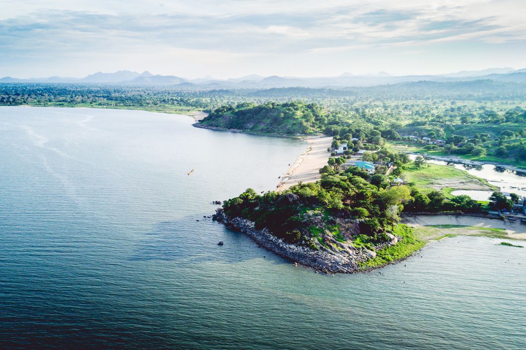 natucate-internship-malawi-wildlife-beach-island-monkey-beach