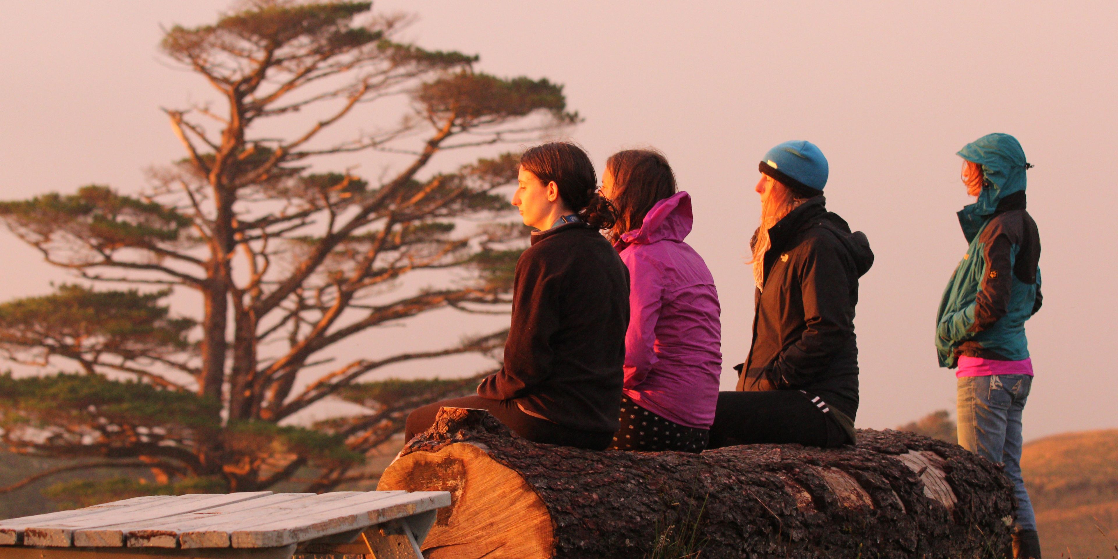 Freiwillige unseres Naturschutzprojekts an Neuseelands Kauri Kueste geniessen gemeinsam die untergehende Sonne